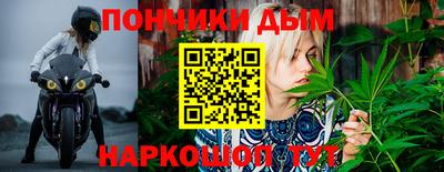 сатива Сланцы