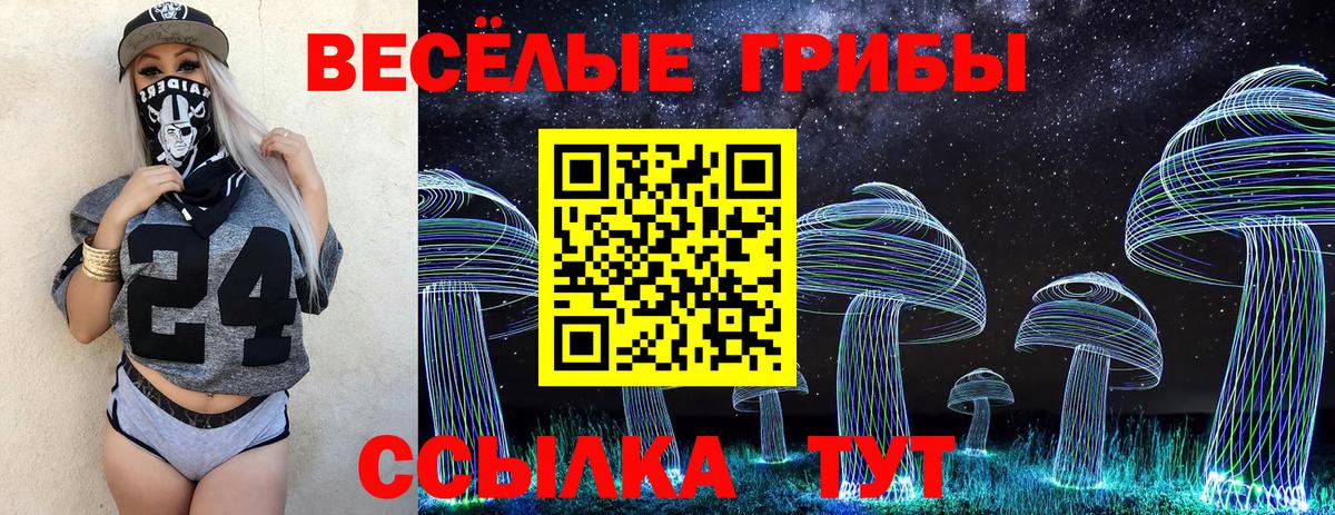 Саратов  Галлюциногенные грибы GOLDEN TEACHER  как найти закладки  Вход с VPN 