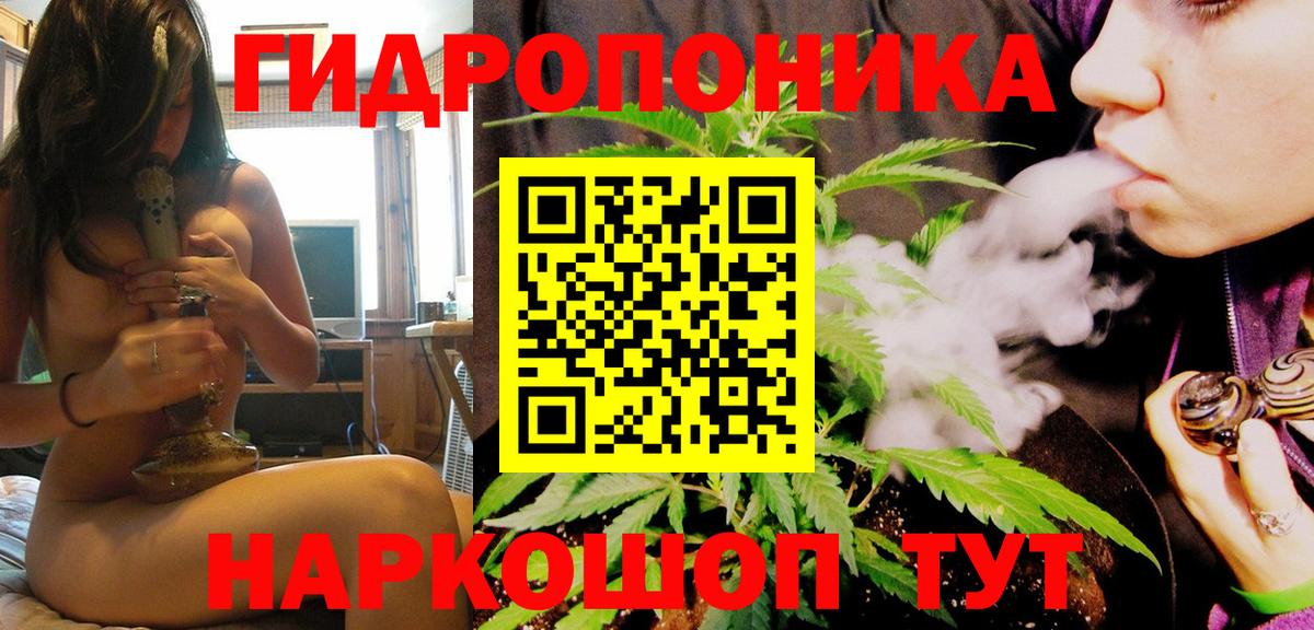 Канабис конопля Саратов
